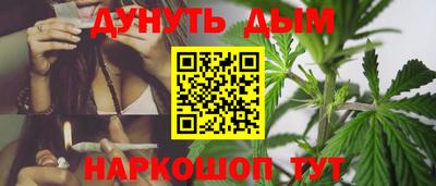 spice Бердск