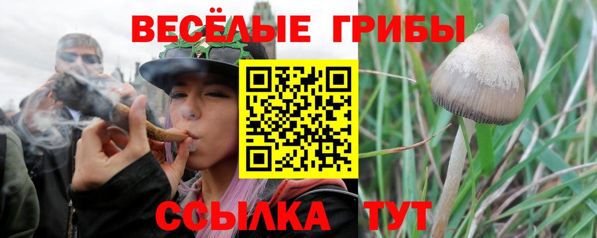 наркотики  Псилоцибиновые грибы ЛСД  Вход с VPN  Кубинка 